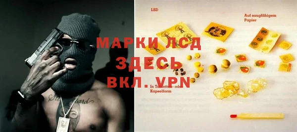 стафф Тайга