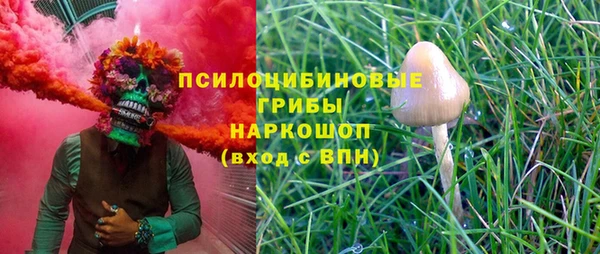 трава Тавда