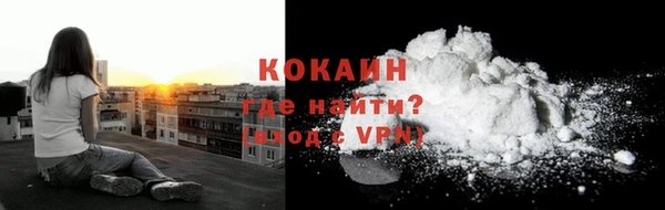 трава Тавда