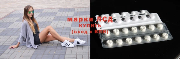 стафф Тайга