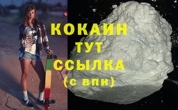 трава Тавда