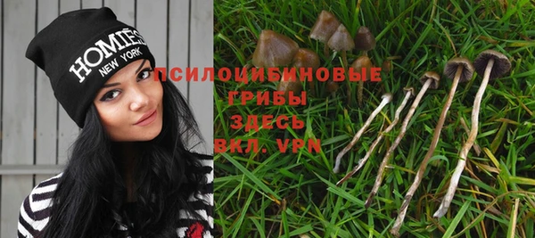 стафф Тайга