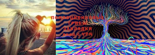 стафф Тайга