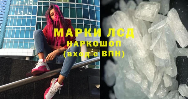трава Тавда