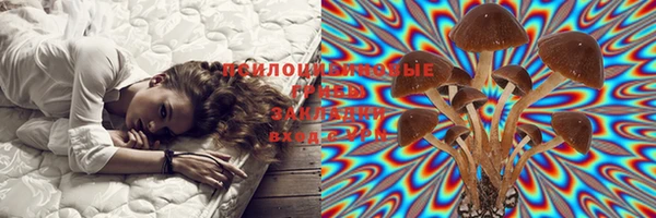стафф Тайга