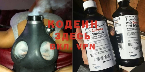 трава Тавда