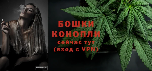стафф Тайга