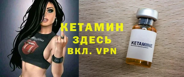 трава Тавда